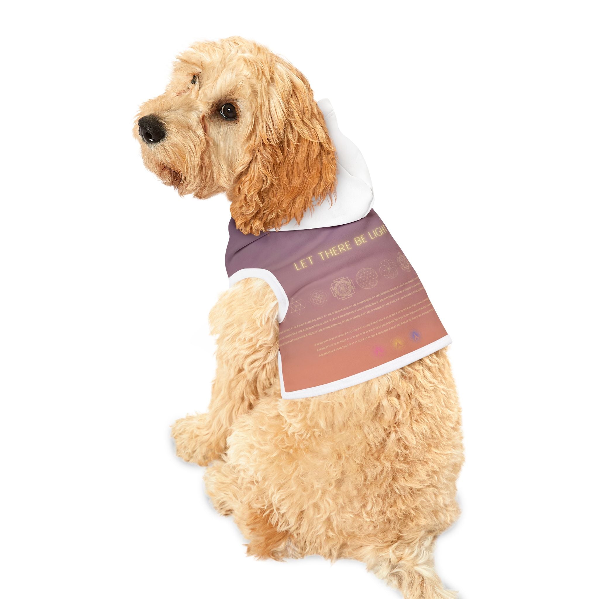 Let There Be Light -