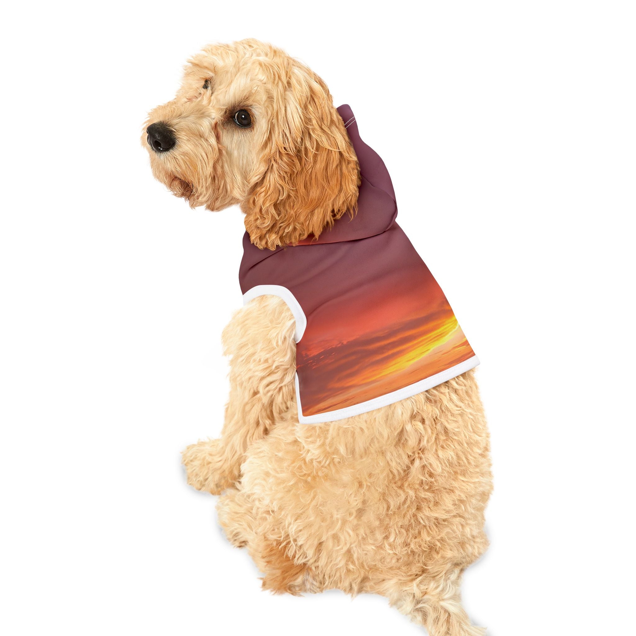 Love Alignment - Pet Hoodie