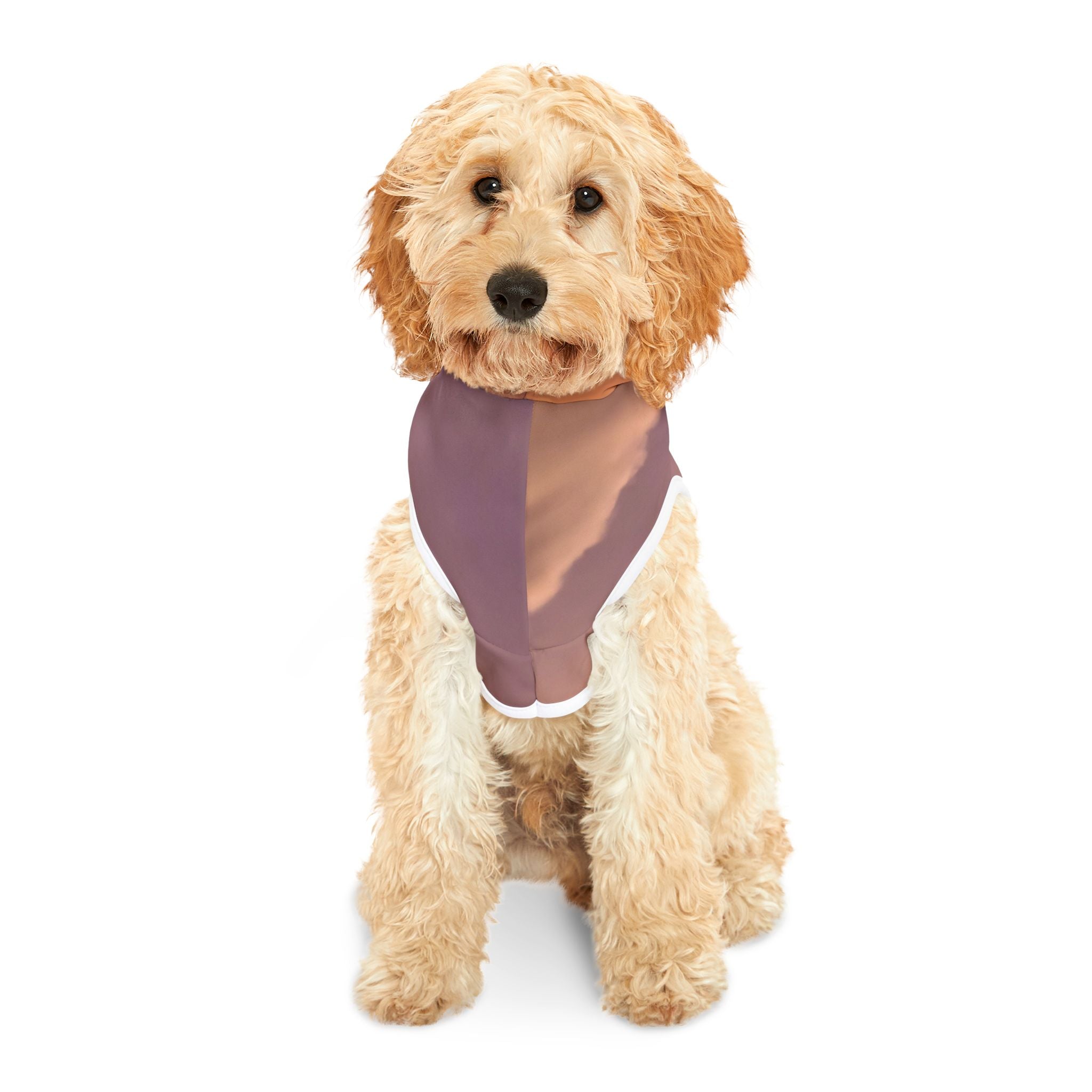 Wisdom Connection - Pet Hoodie