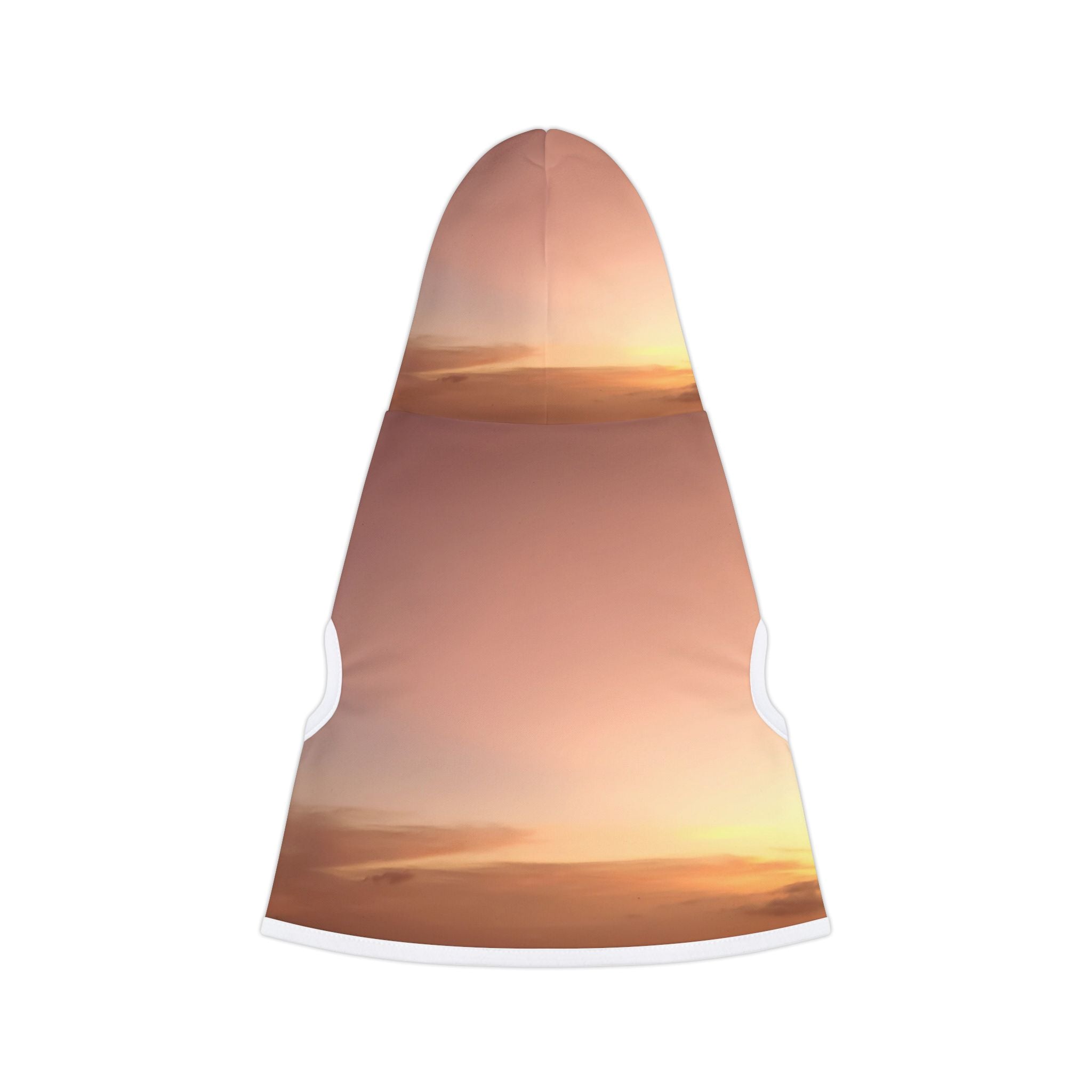 Wisdom Awakening - Pet Hoodie