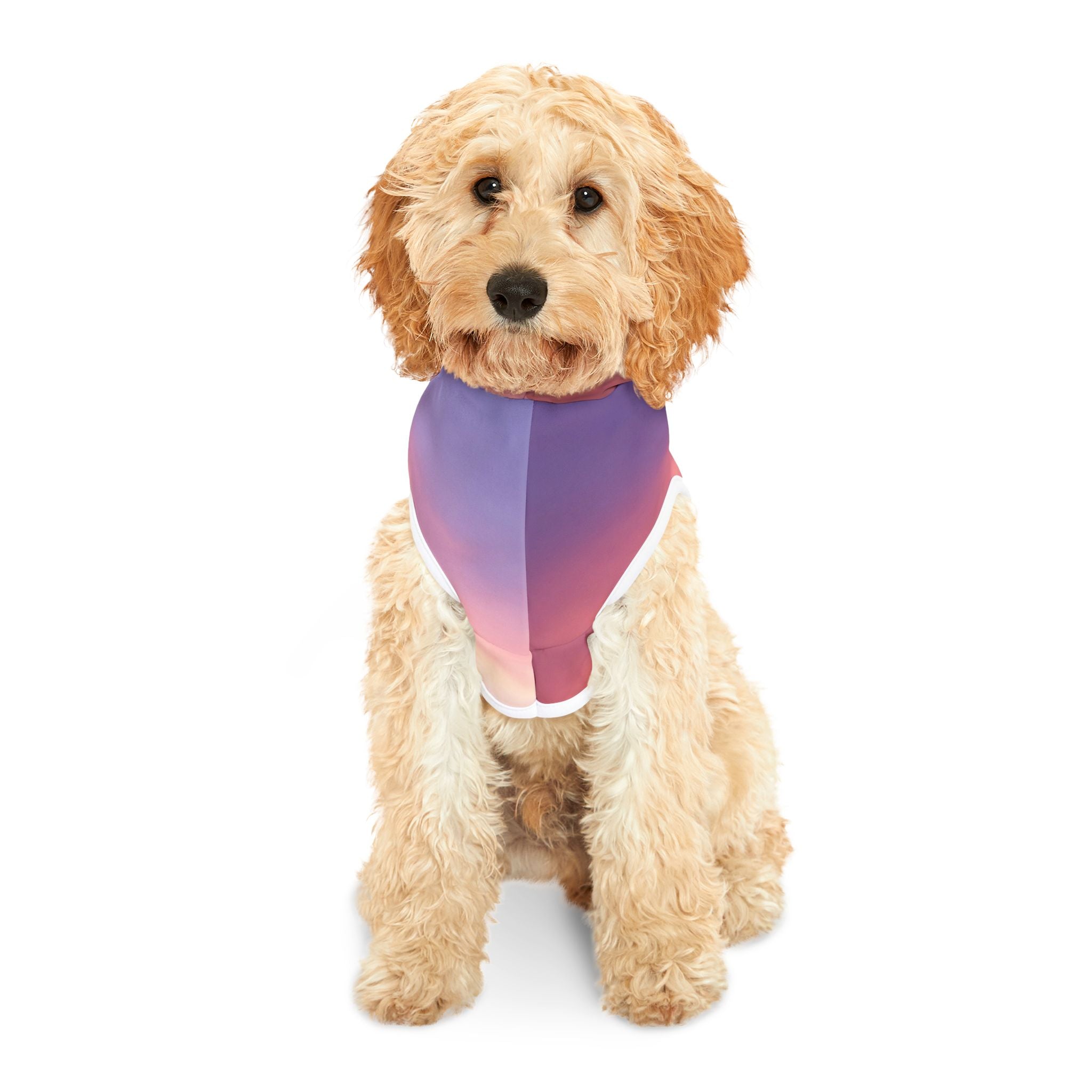 Love Activation - Pet Hoodie