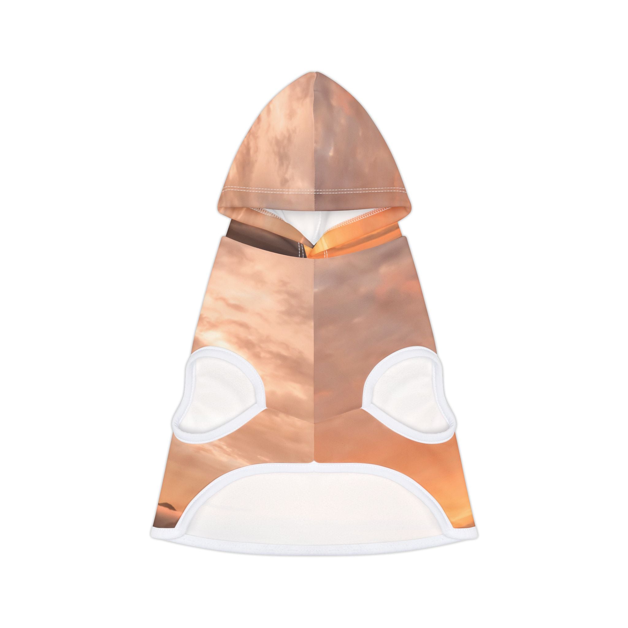 Wisdom Embodiment - Pet Hoodie