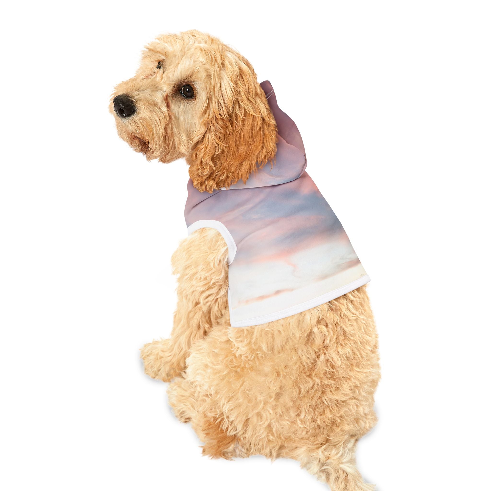 Love Manifestation - Pet Hoodie