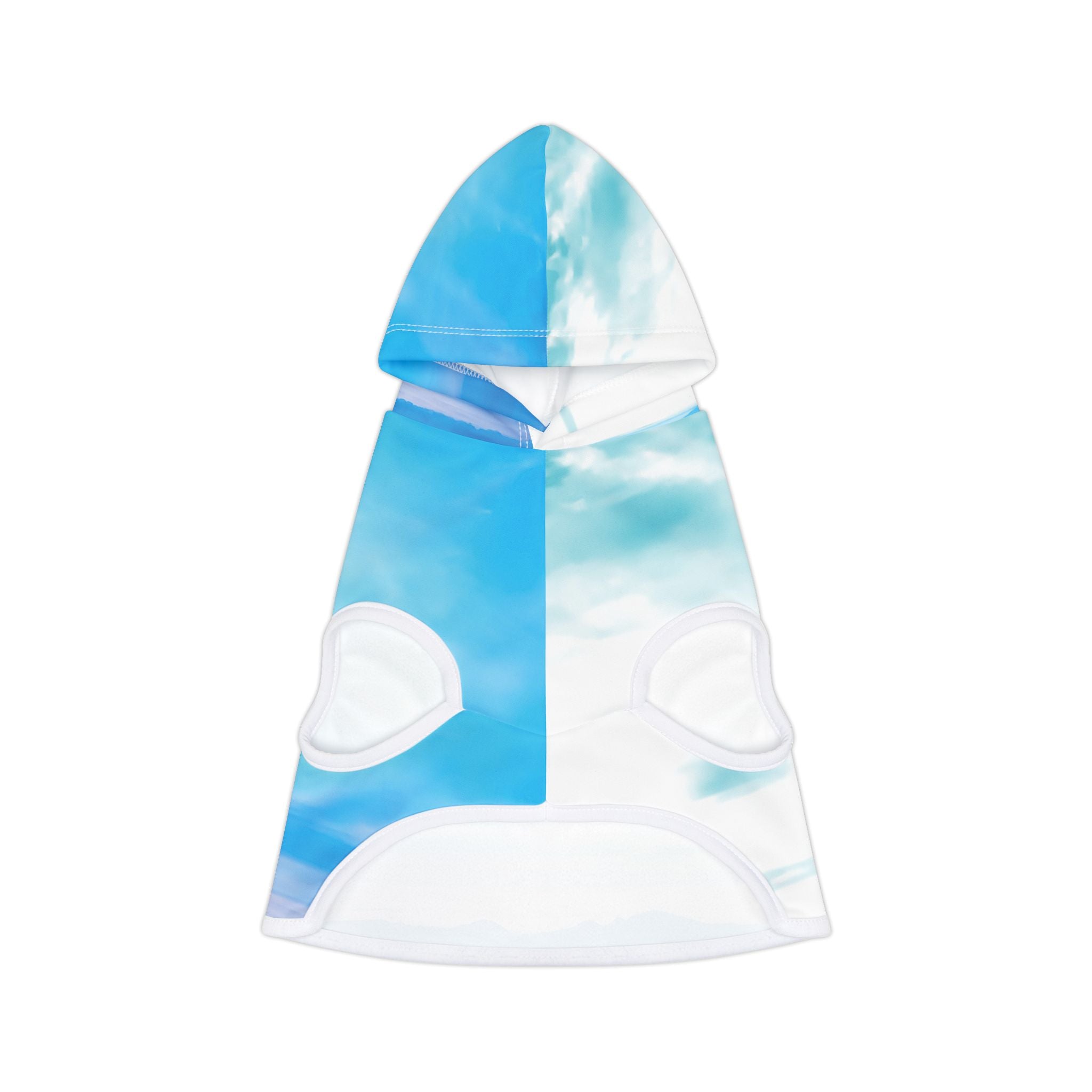 Power Embodiment - Pet Hoodie