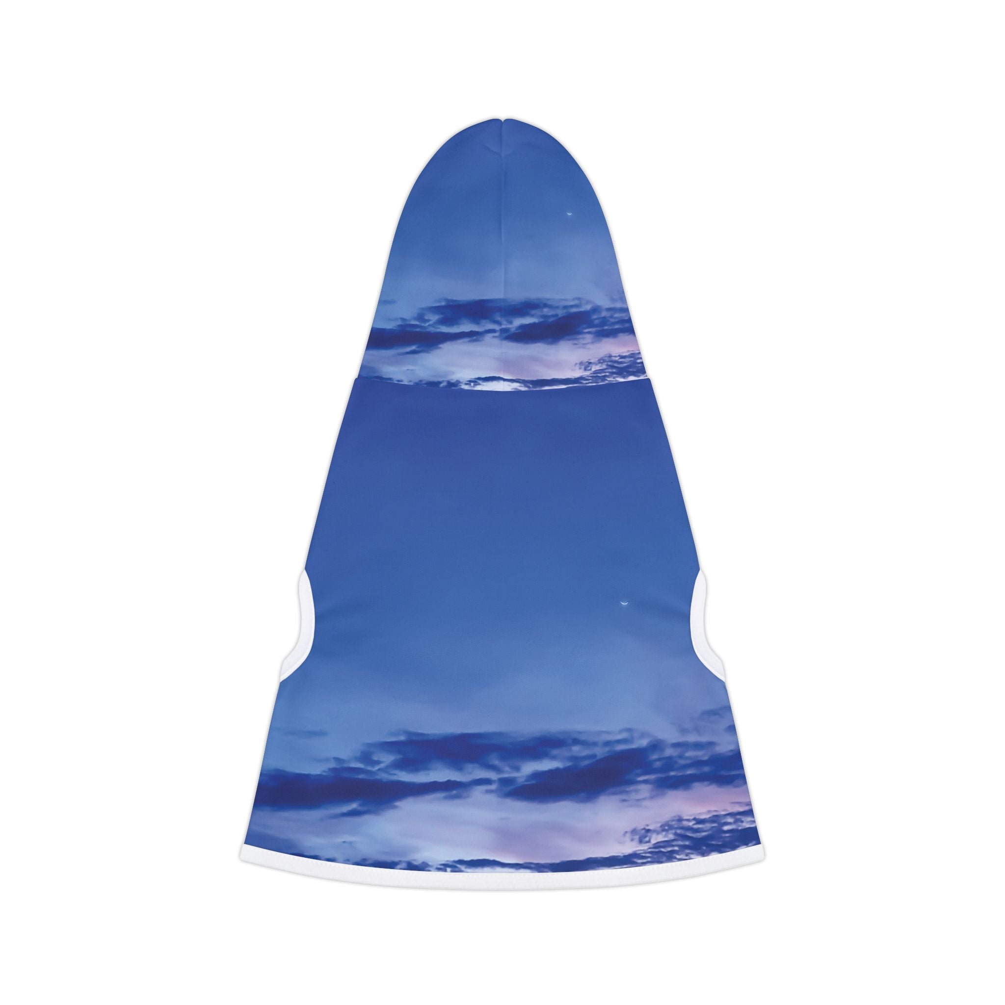 Power Alignment - Pet Hoodie