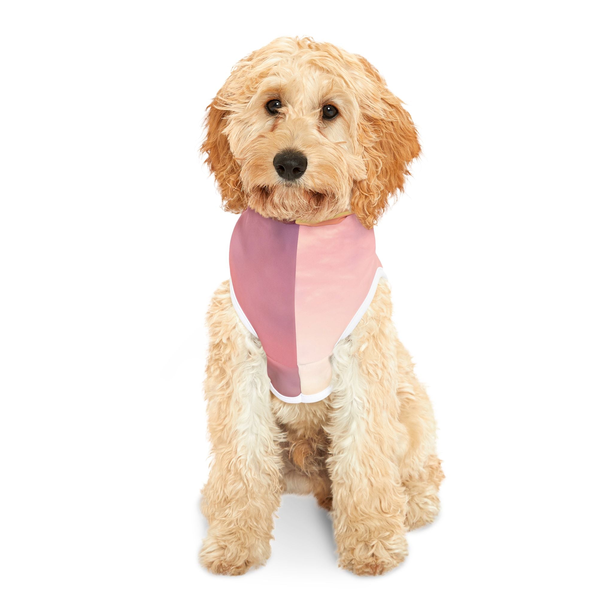 Love Embodiment - Pet Hoodie