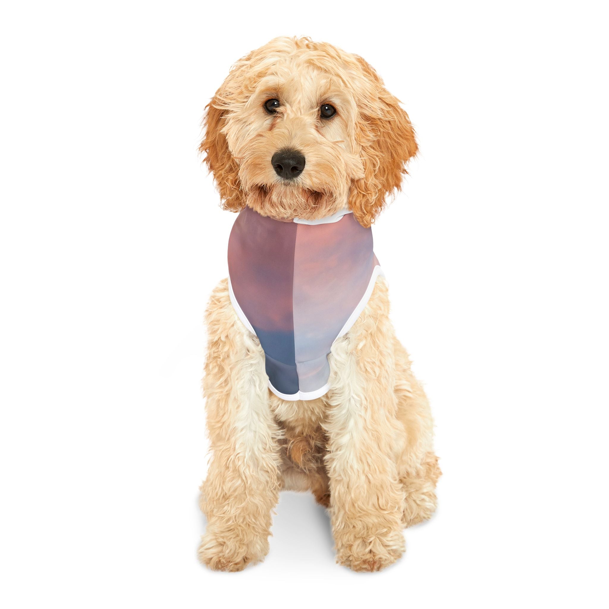 Love Manifestation - Pet Hoodie