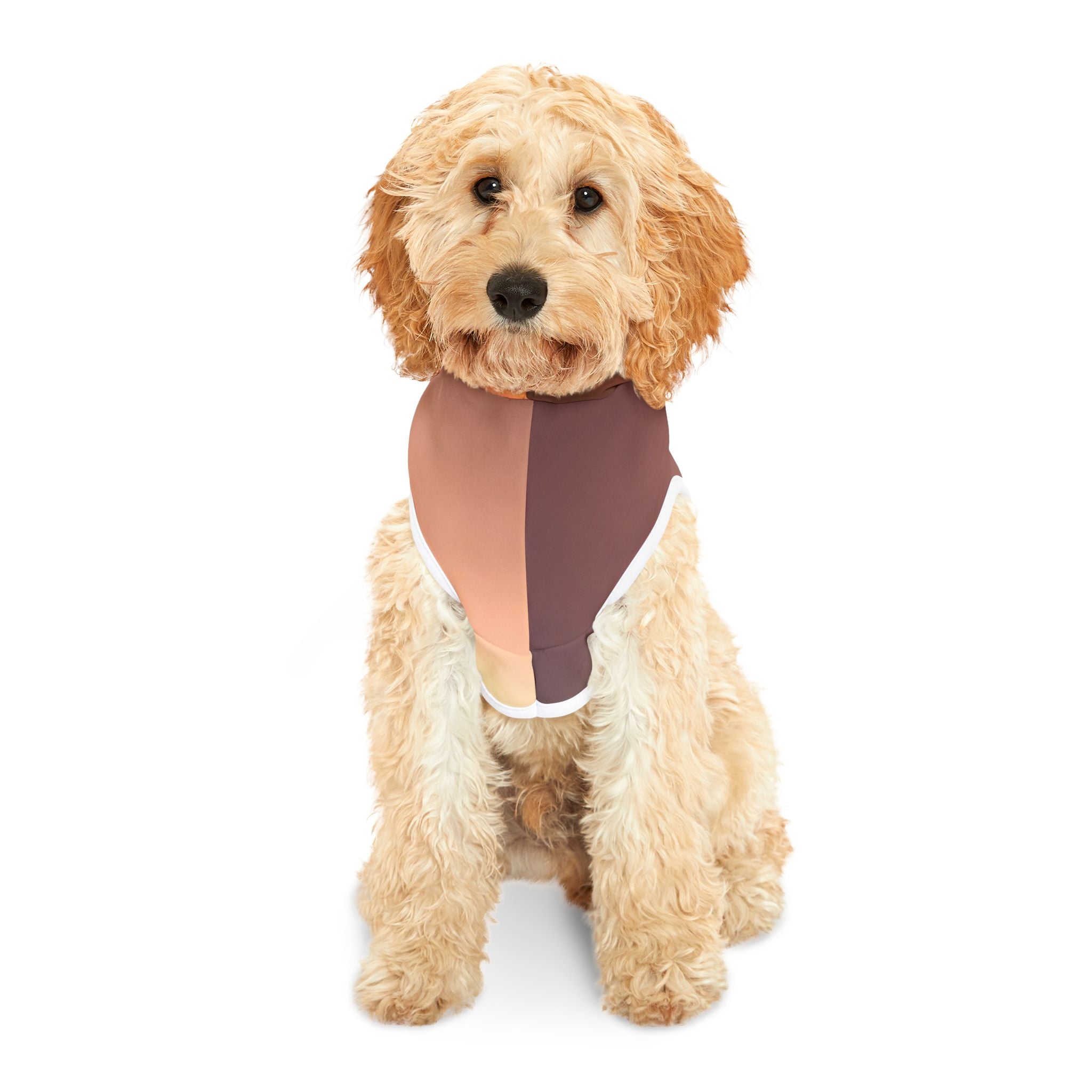 Wisdom Awakening - Pet Hoodie