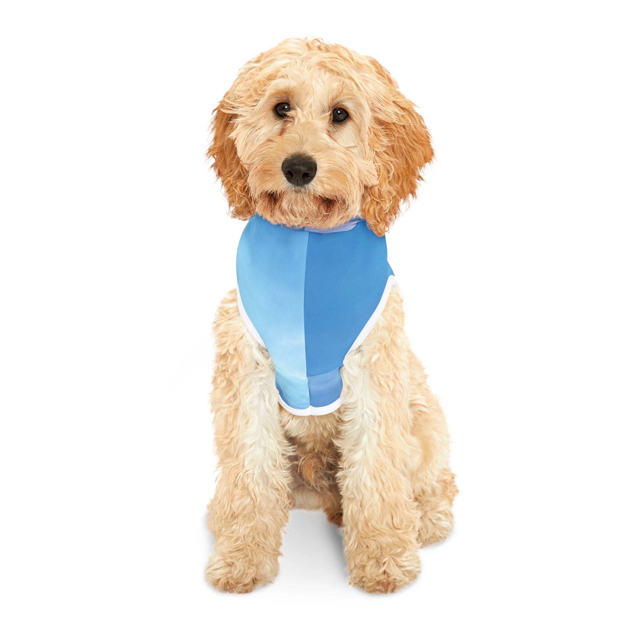 Power Creation - Pet Hoodie