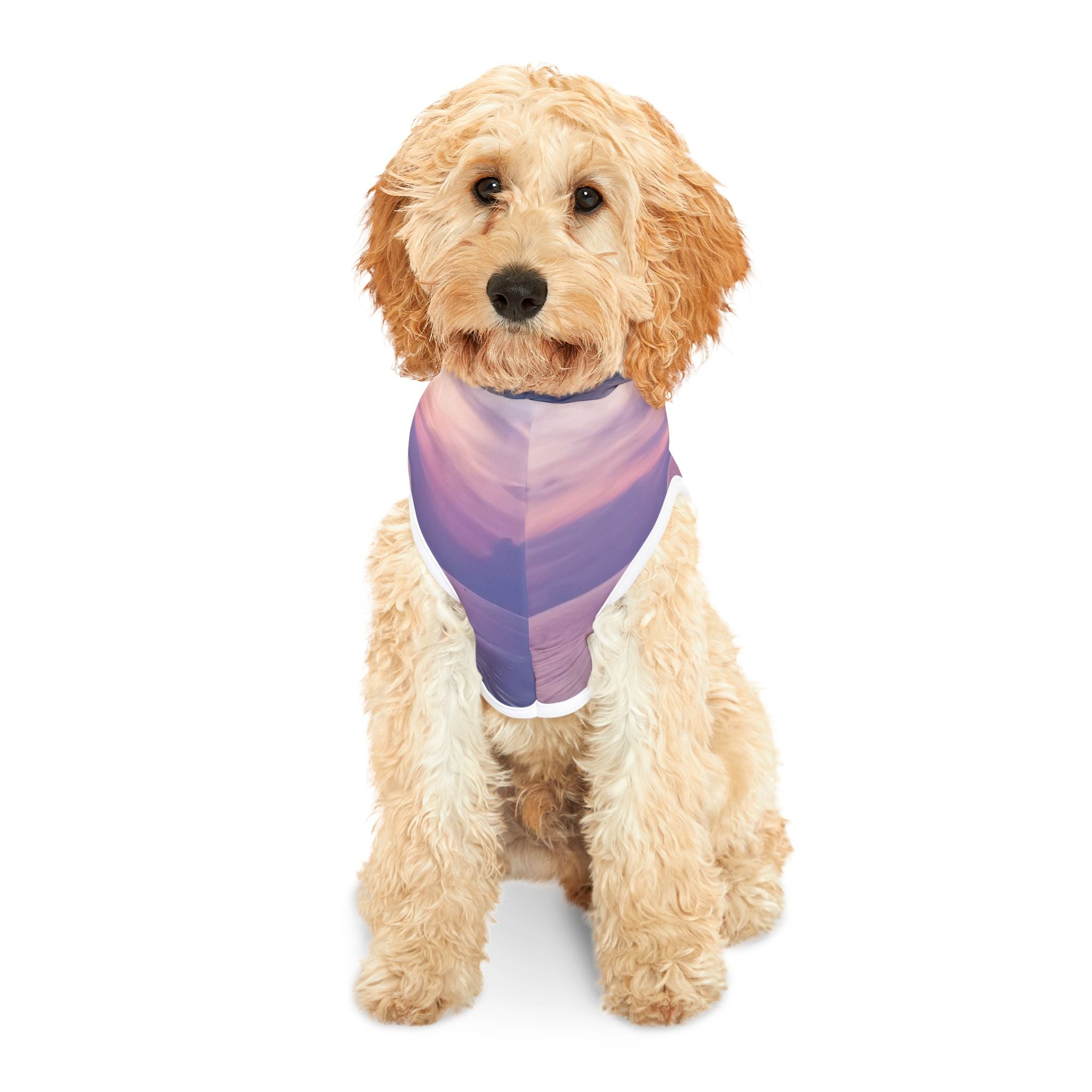 Power Connection - Pet Hoodie