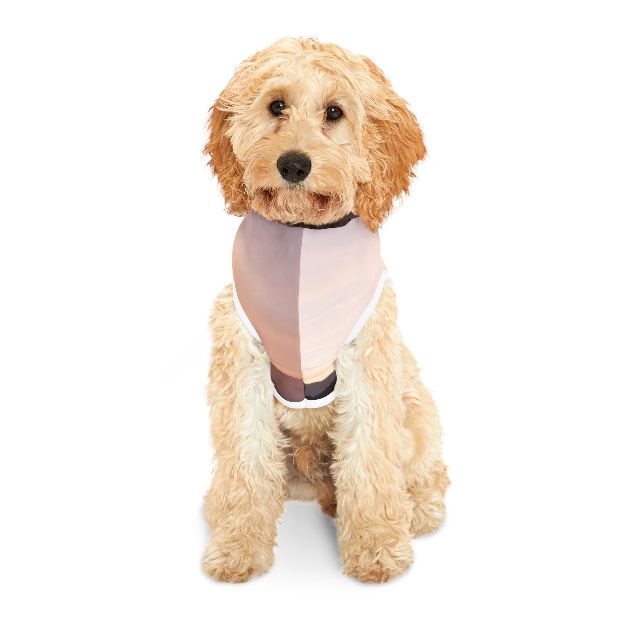 Wisdom Creation - Pet Hoodie