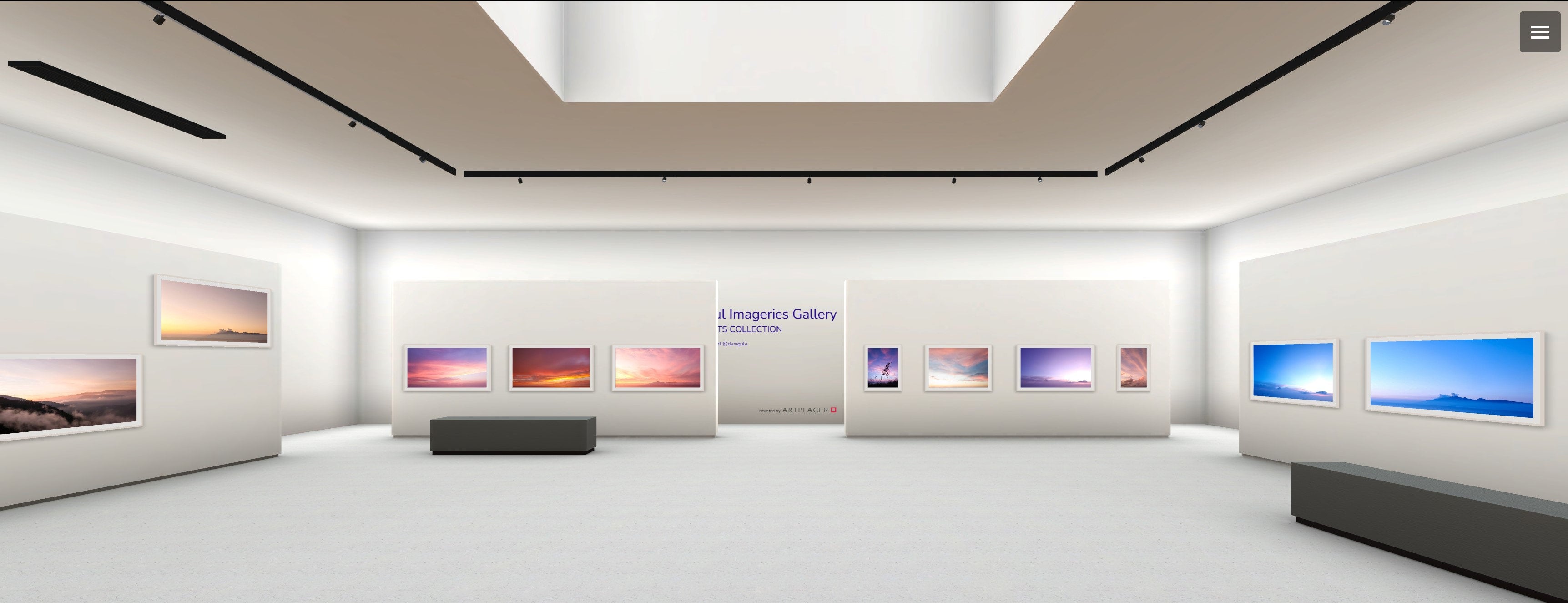 VIRTUAL ART EXHIBITION . THE LIGHTS COLLECTION