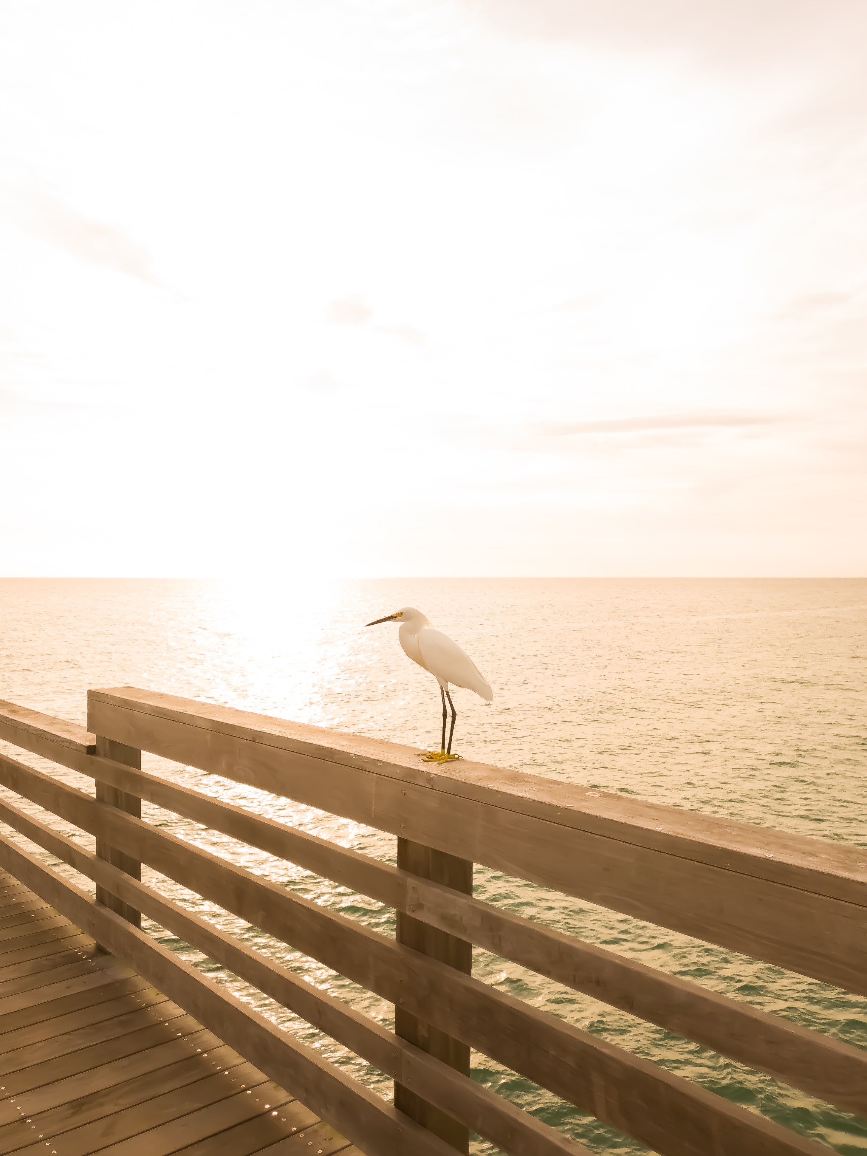 Divine Solitude . Air Series