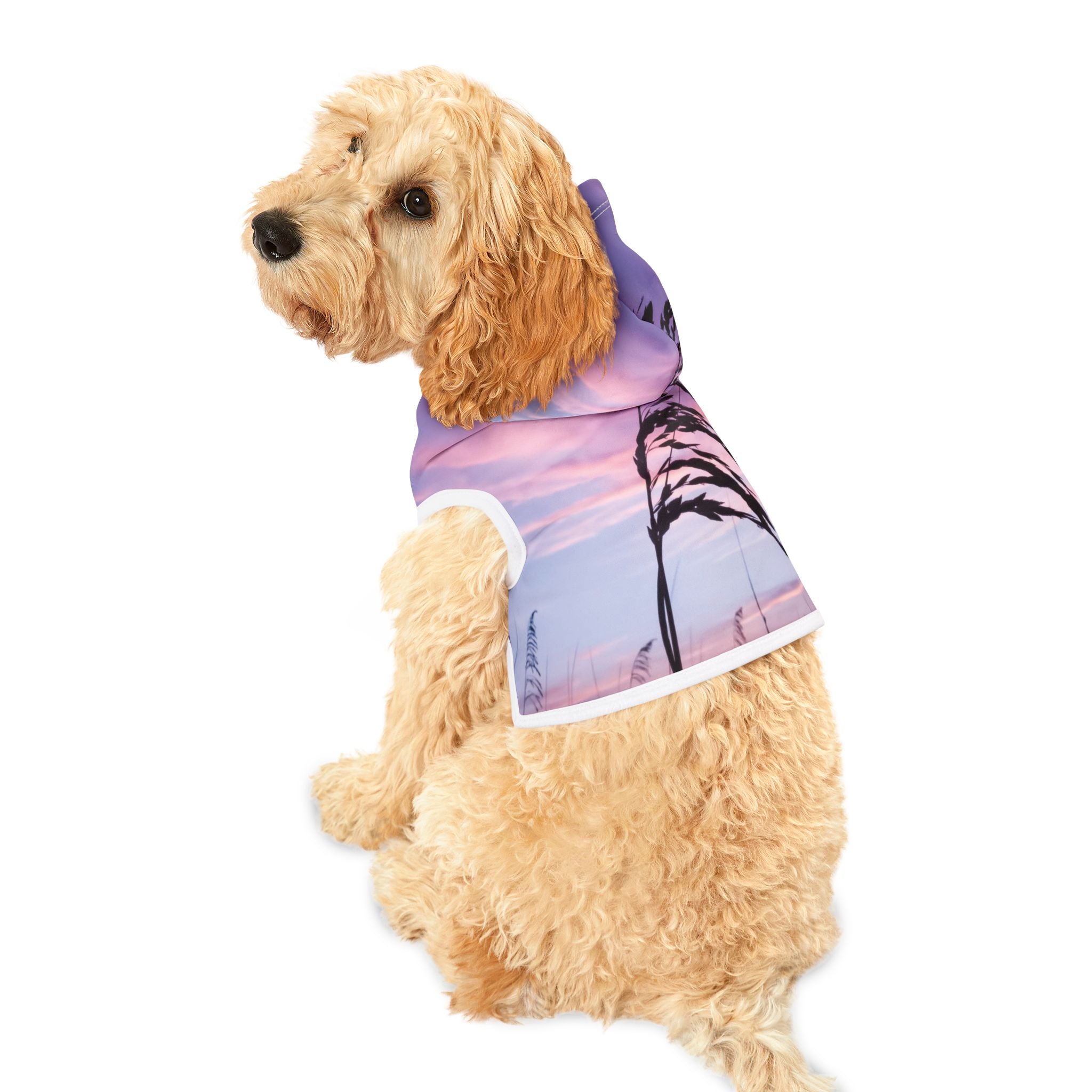 Love Creation - Pet Hoodie