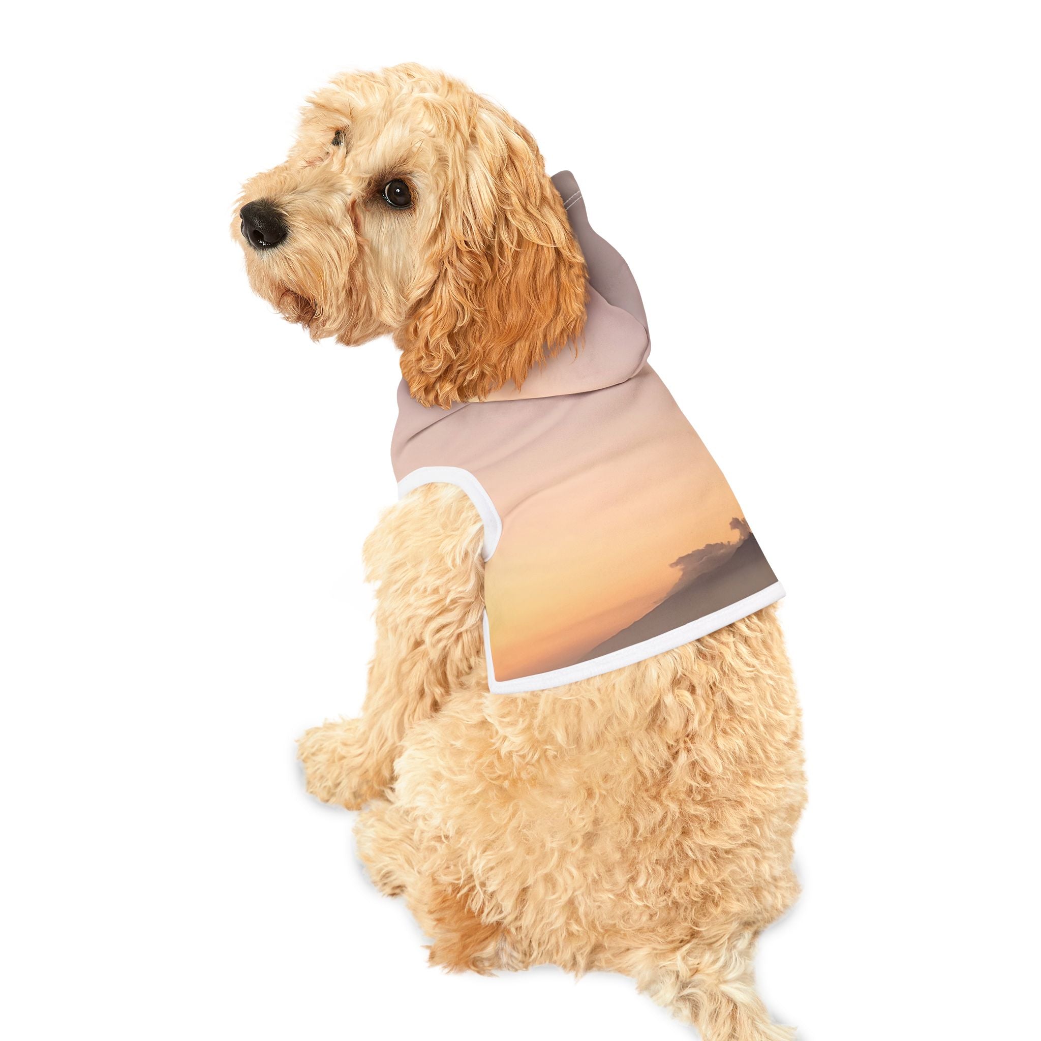 Wisdom Activation - Pet Hoodie