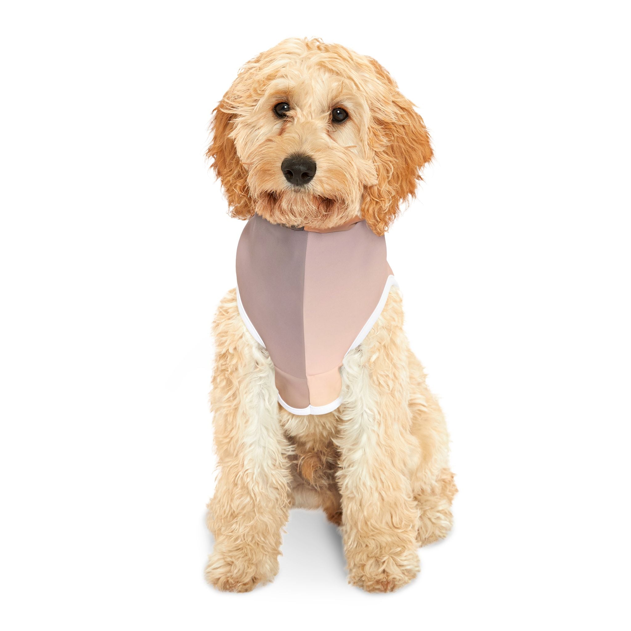 Wisdom Activation - Pet Hoodie