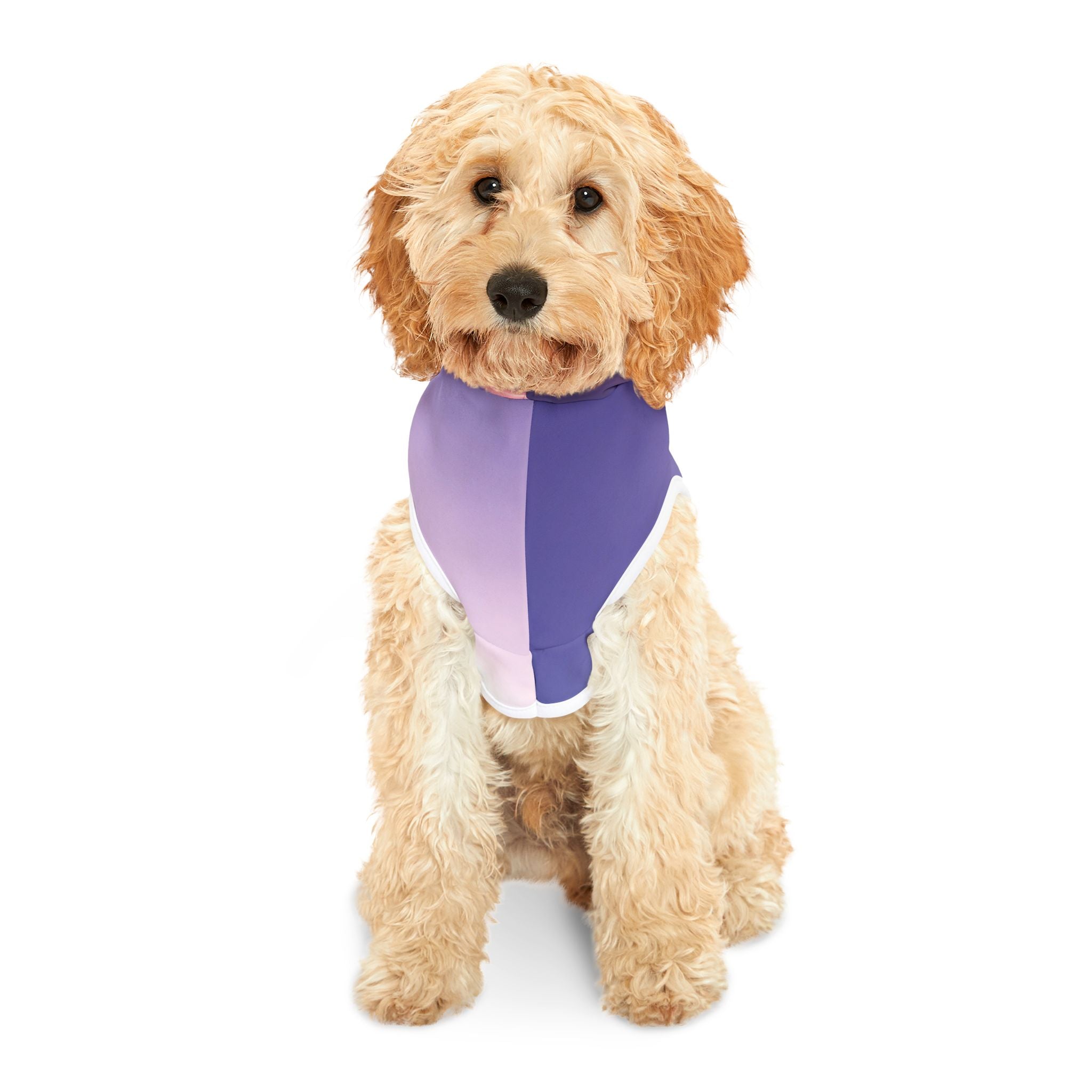 Love Awakening - Pet Hoodie