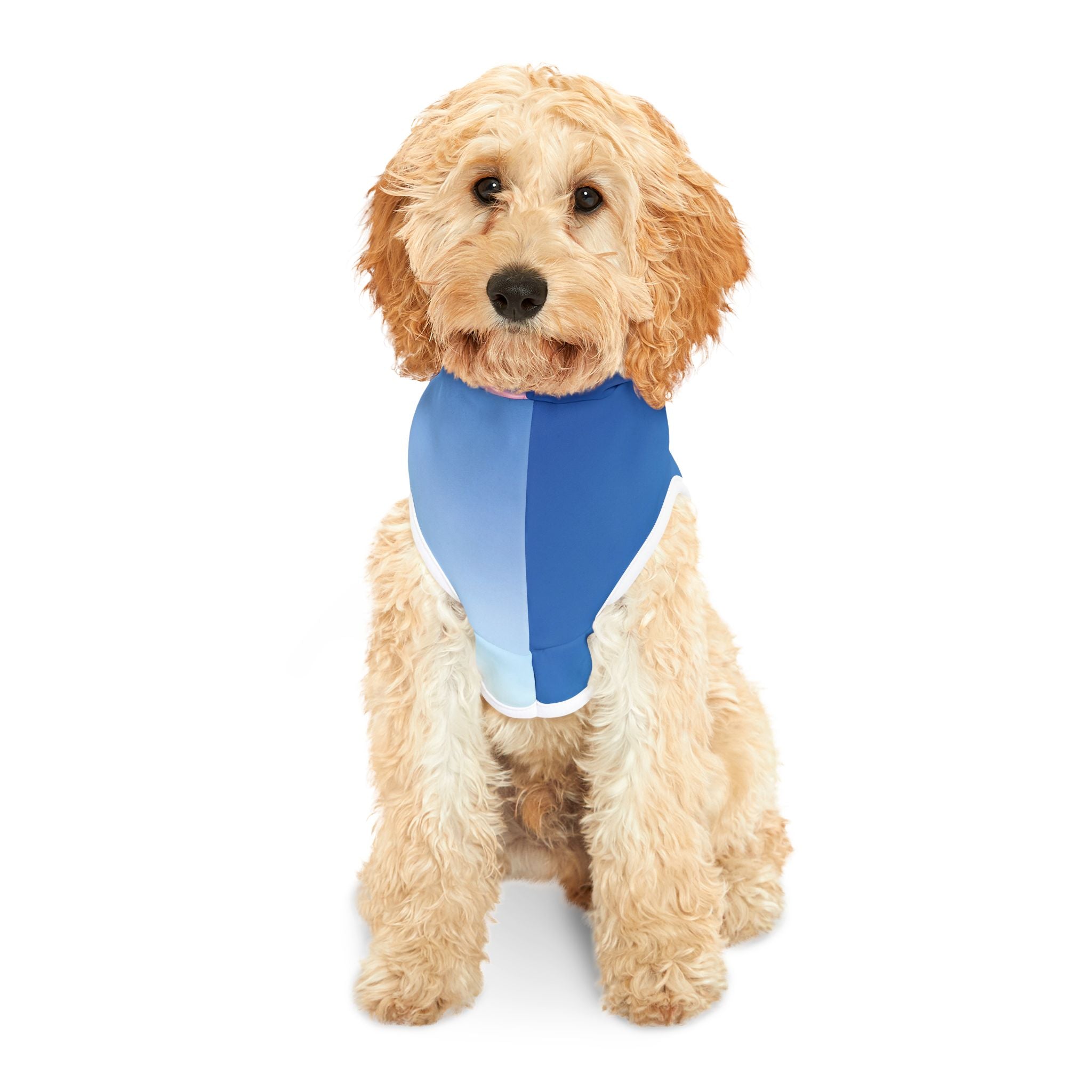 Power Awakening - Pet Hoodie