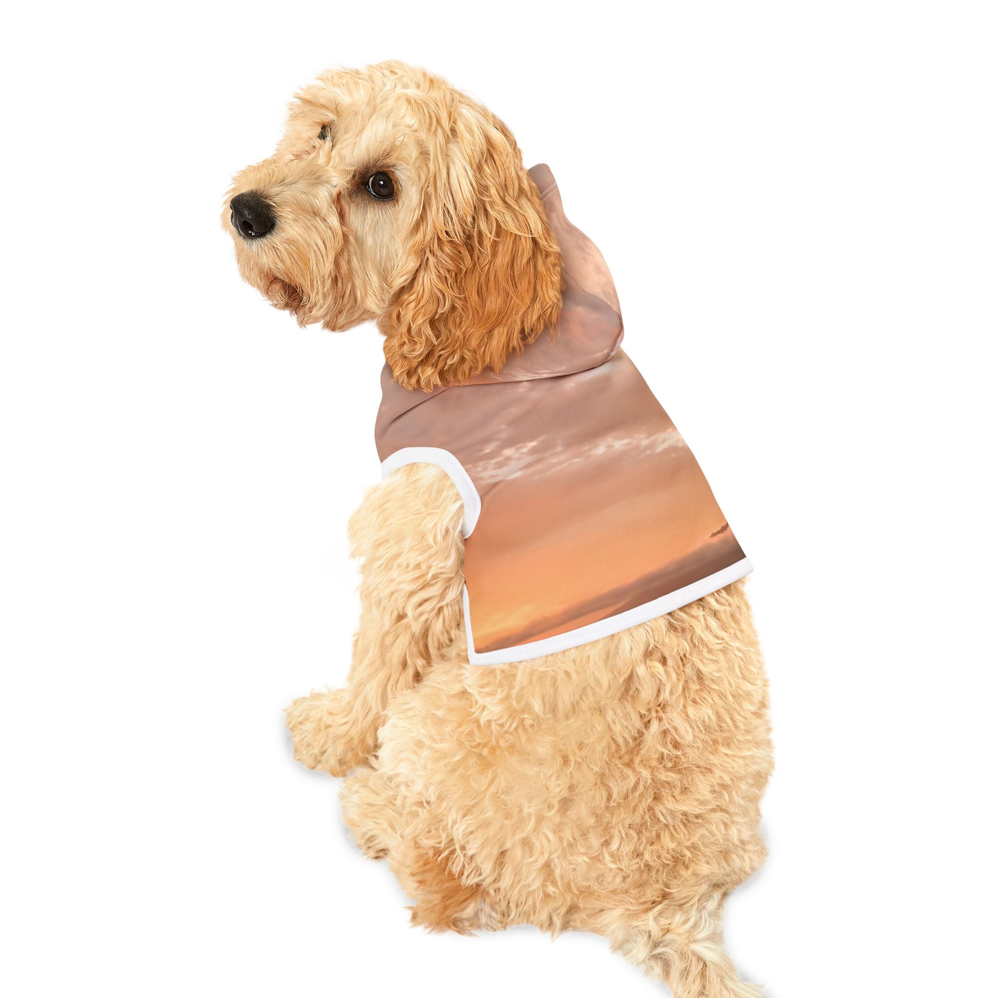 Wisdom Embodiment - Pet Hoodie