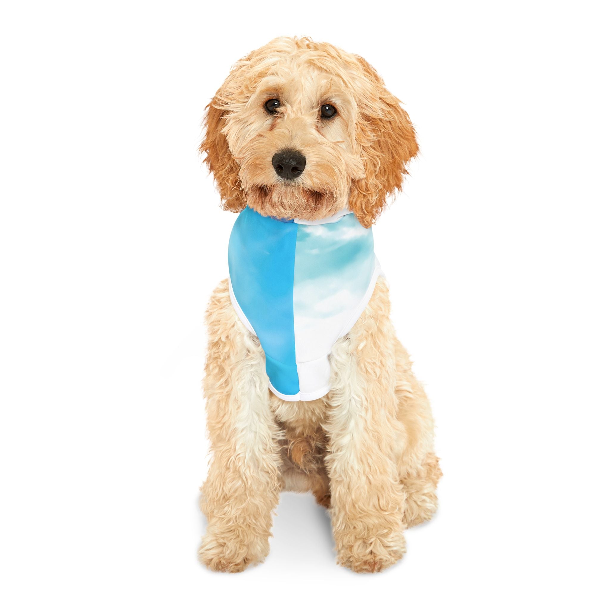 Power Embodiment - Pet Hoodie