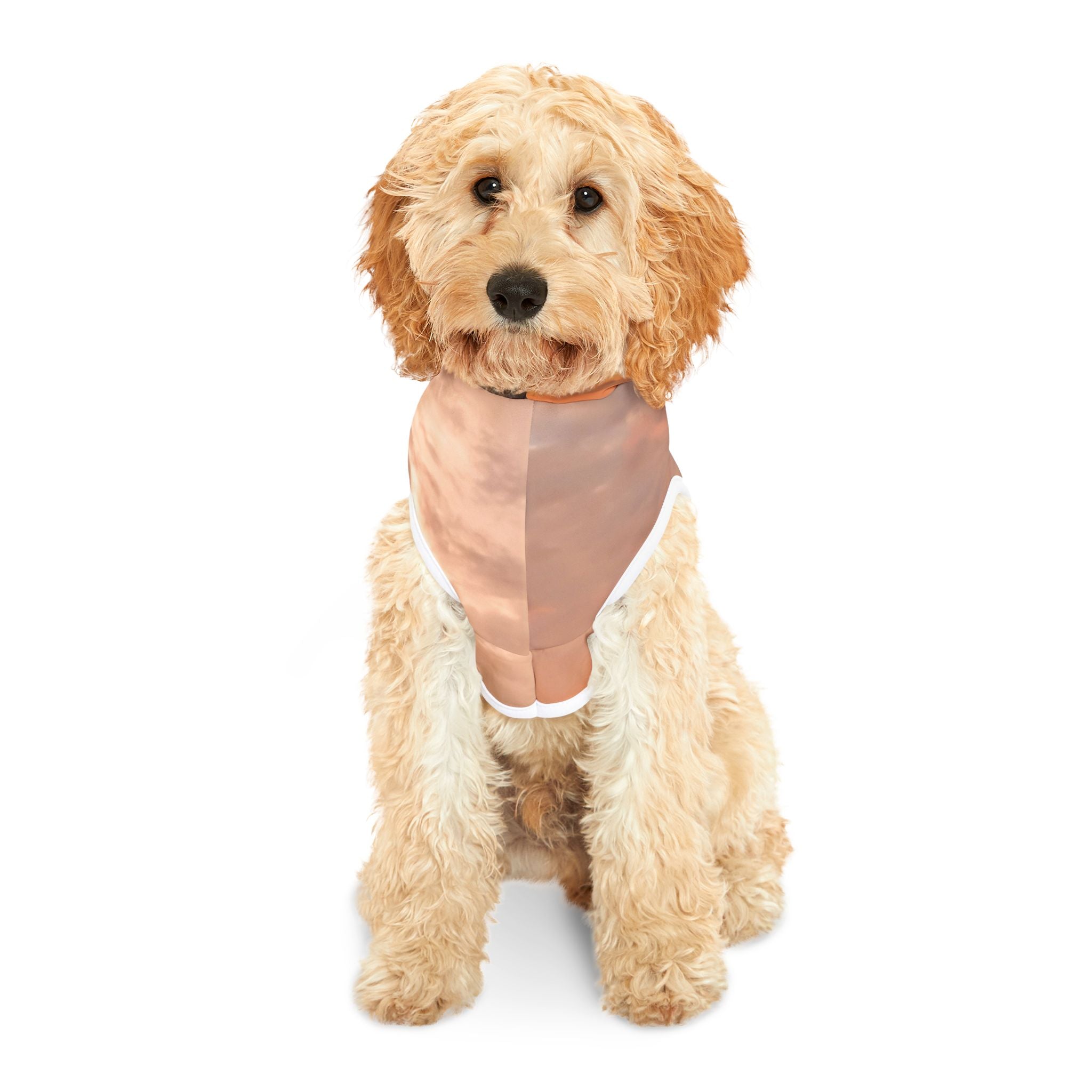 Wisdom Embodiment - Pet Hoodie