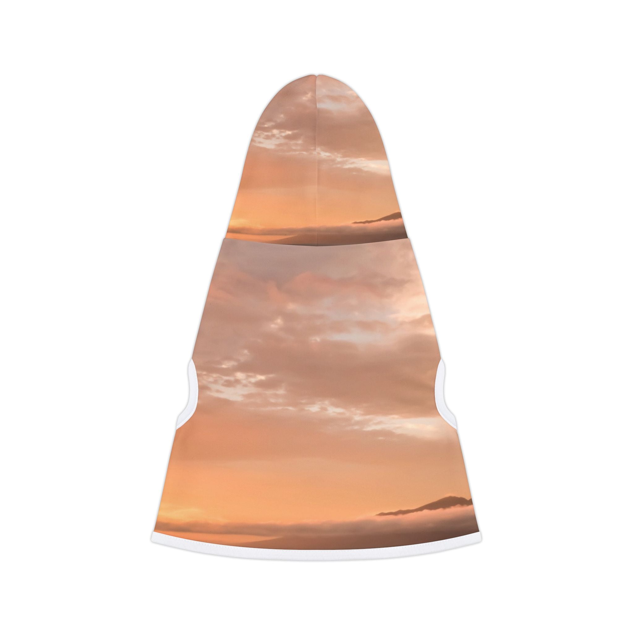 Wisdom Embodiment - Pet Hoodie