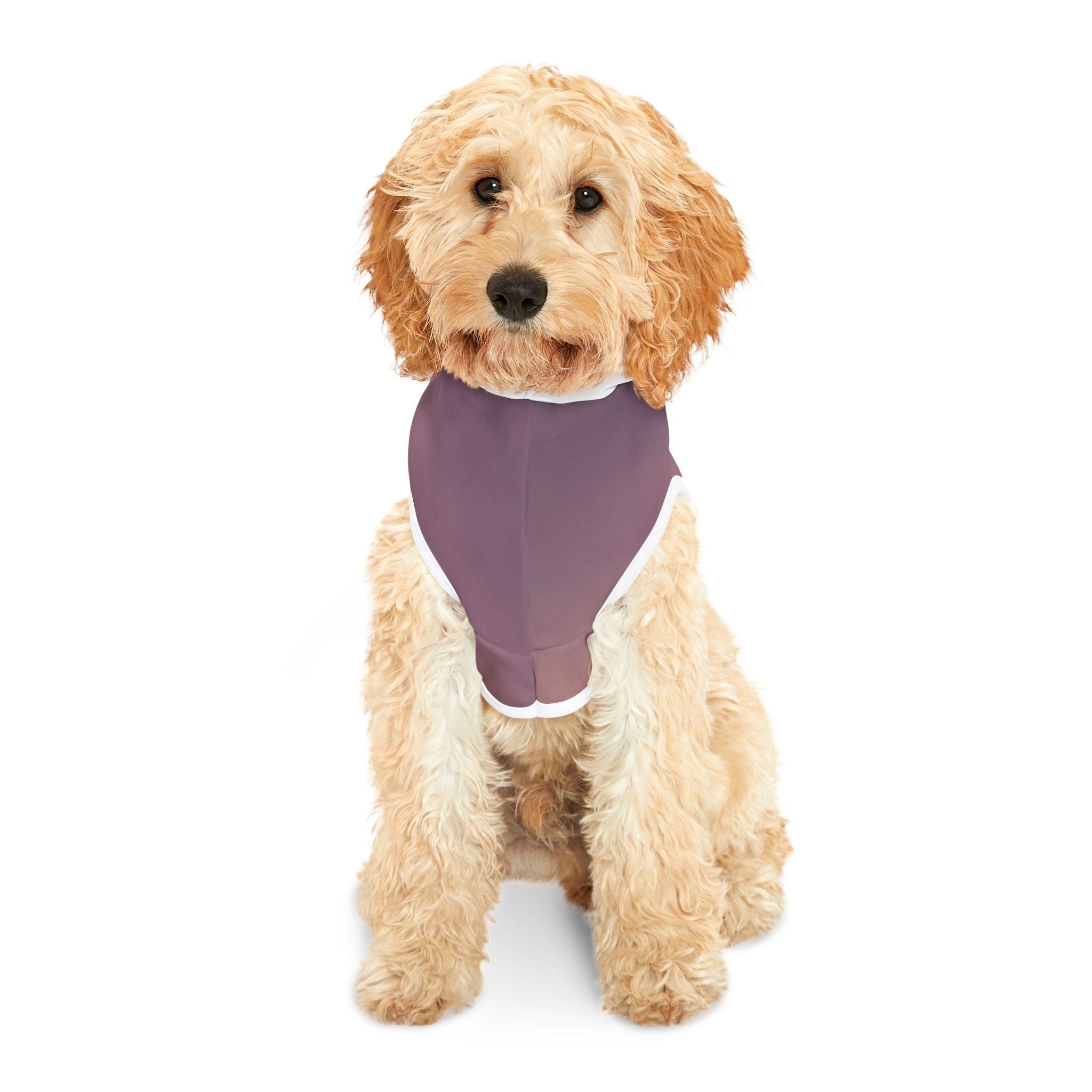 Let There Be Light -