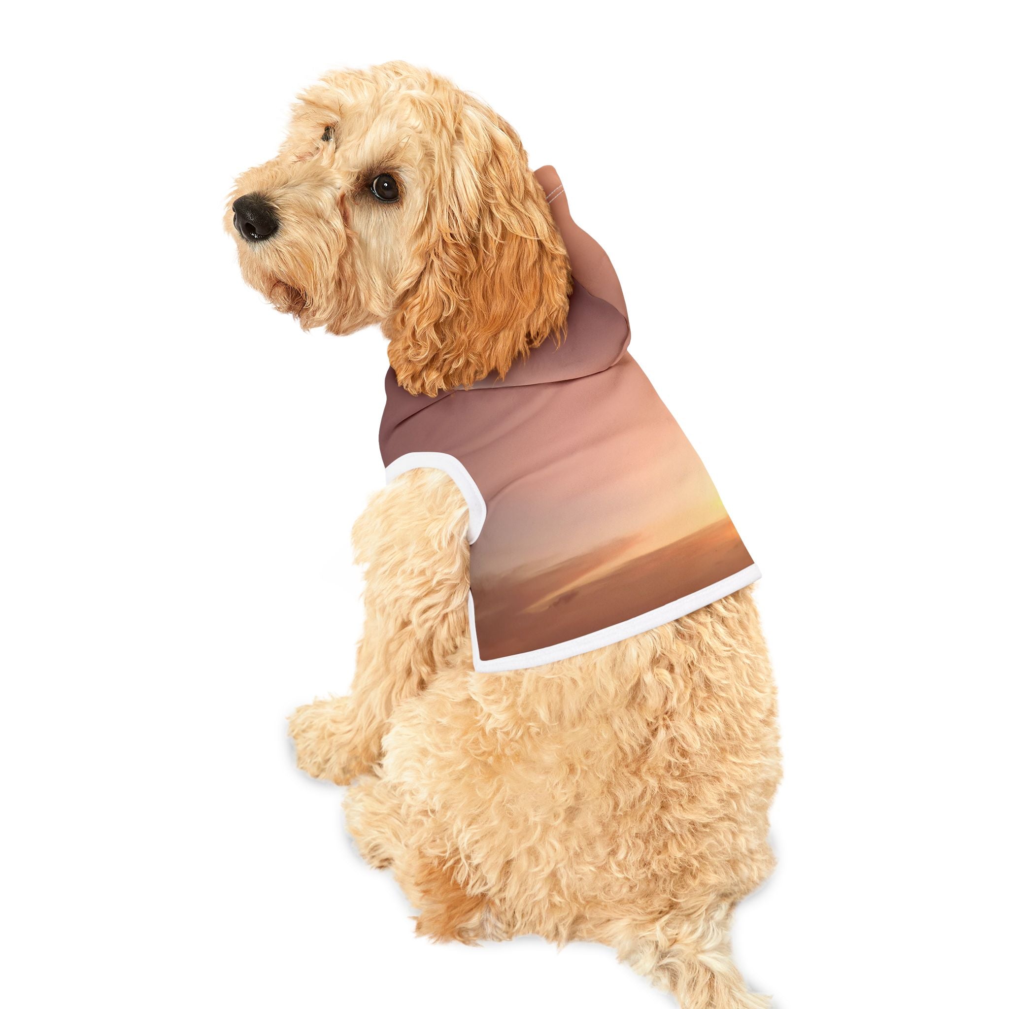 Wisdom Awakening - Pet Hoodie
