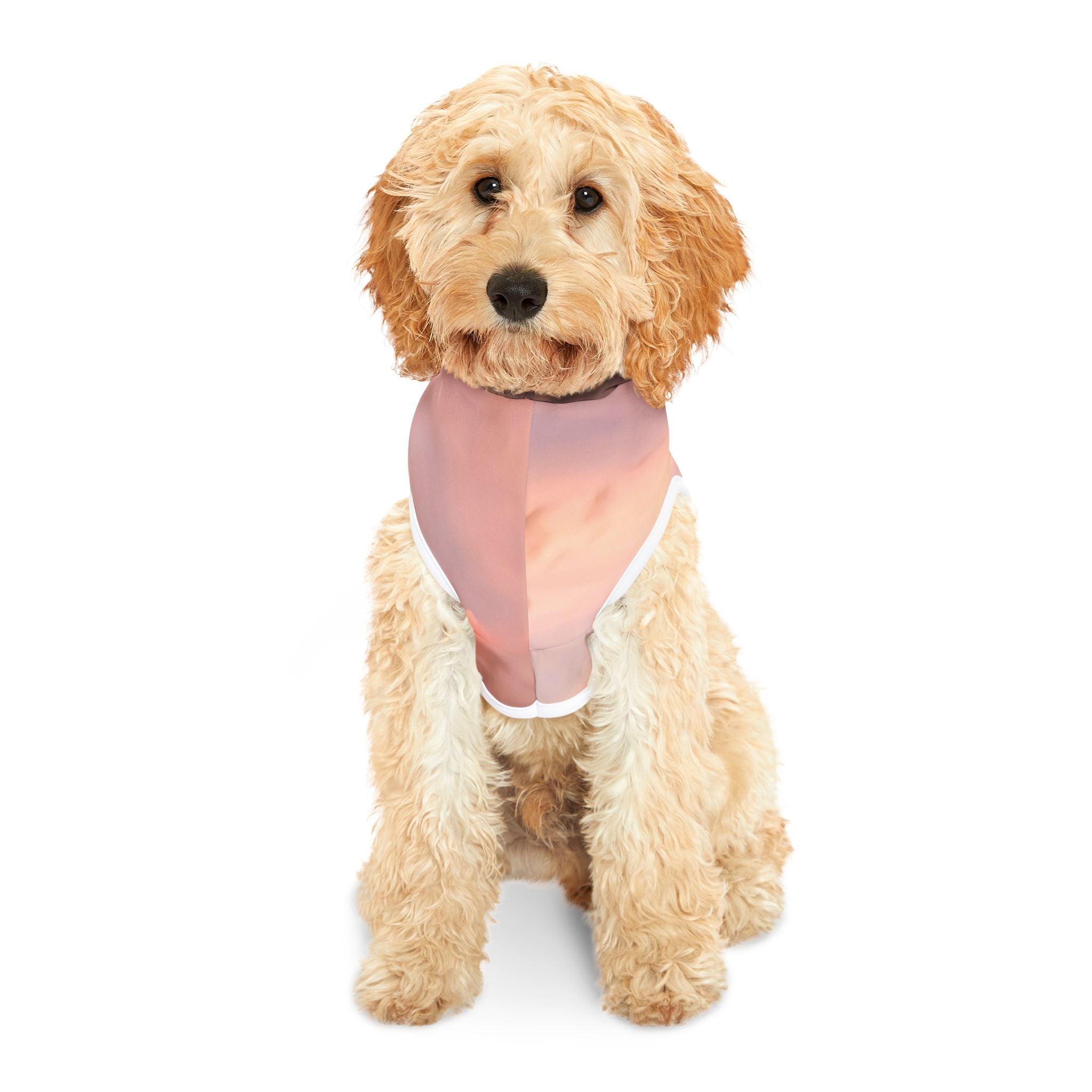 Love Connection - Pet Hoodie