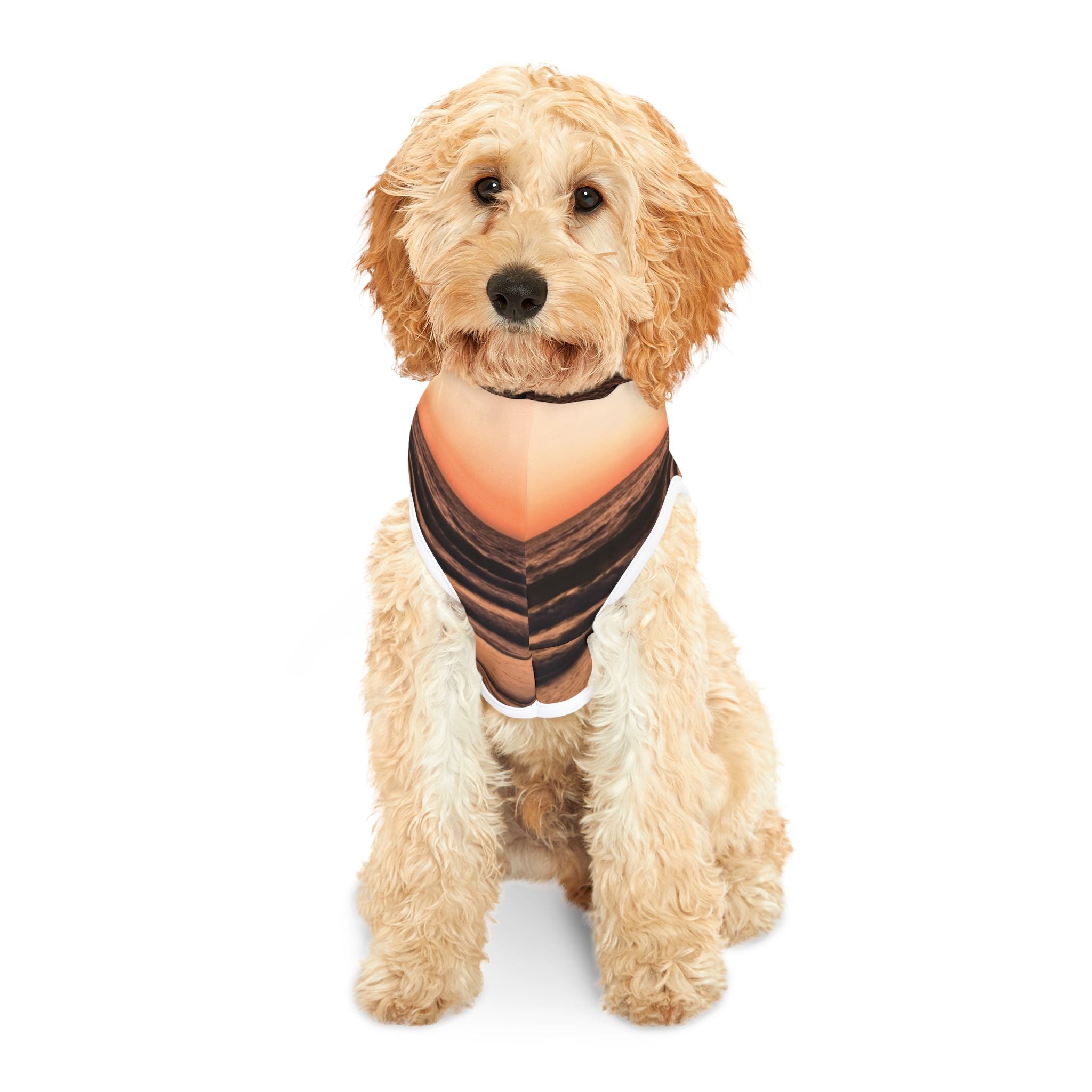 Wisdom Alignment - Pet Hoodie