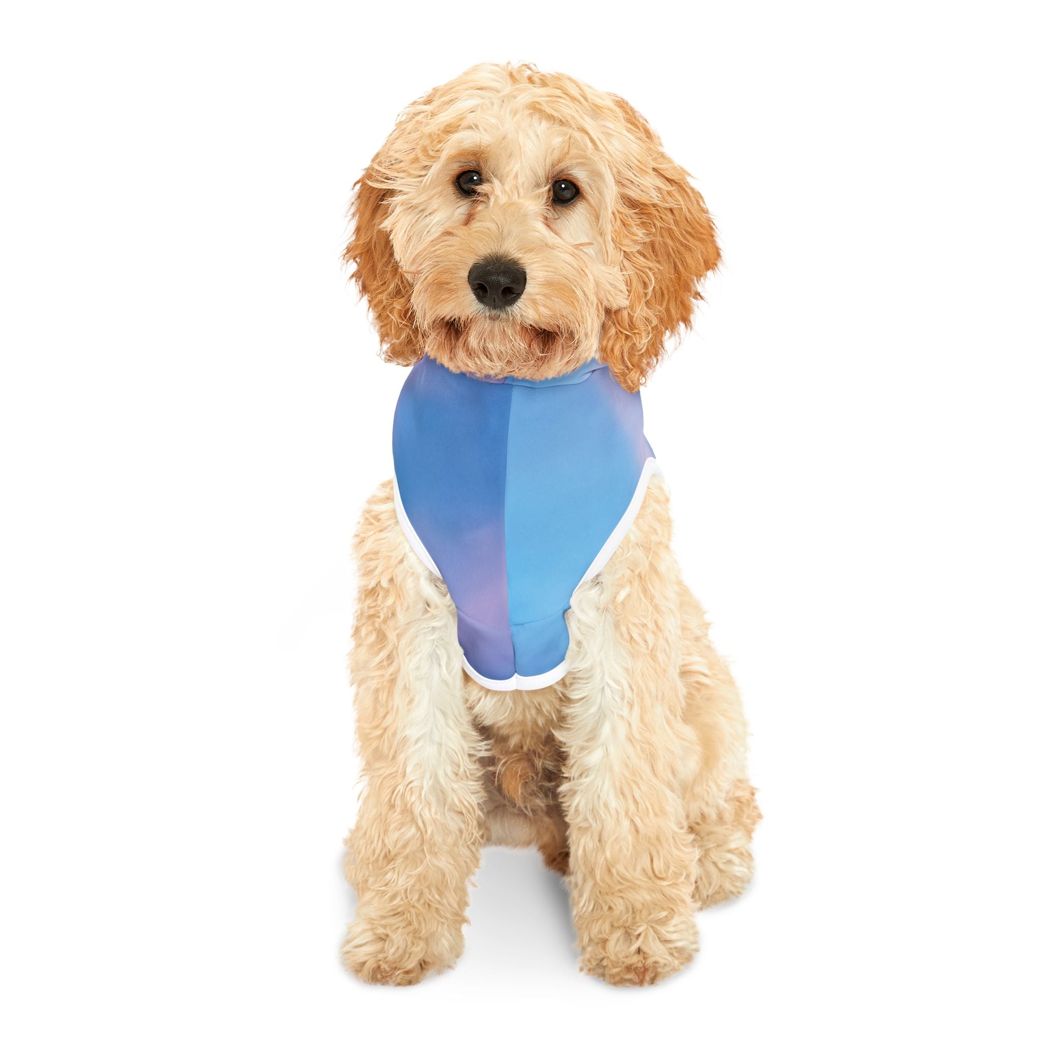 Power Manifestation - Pet Hoodie