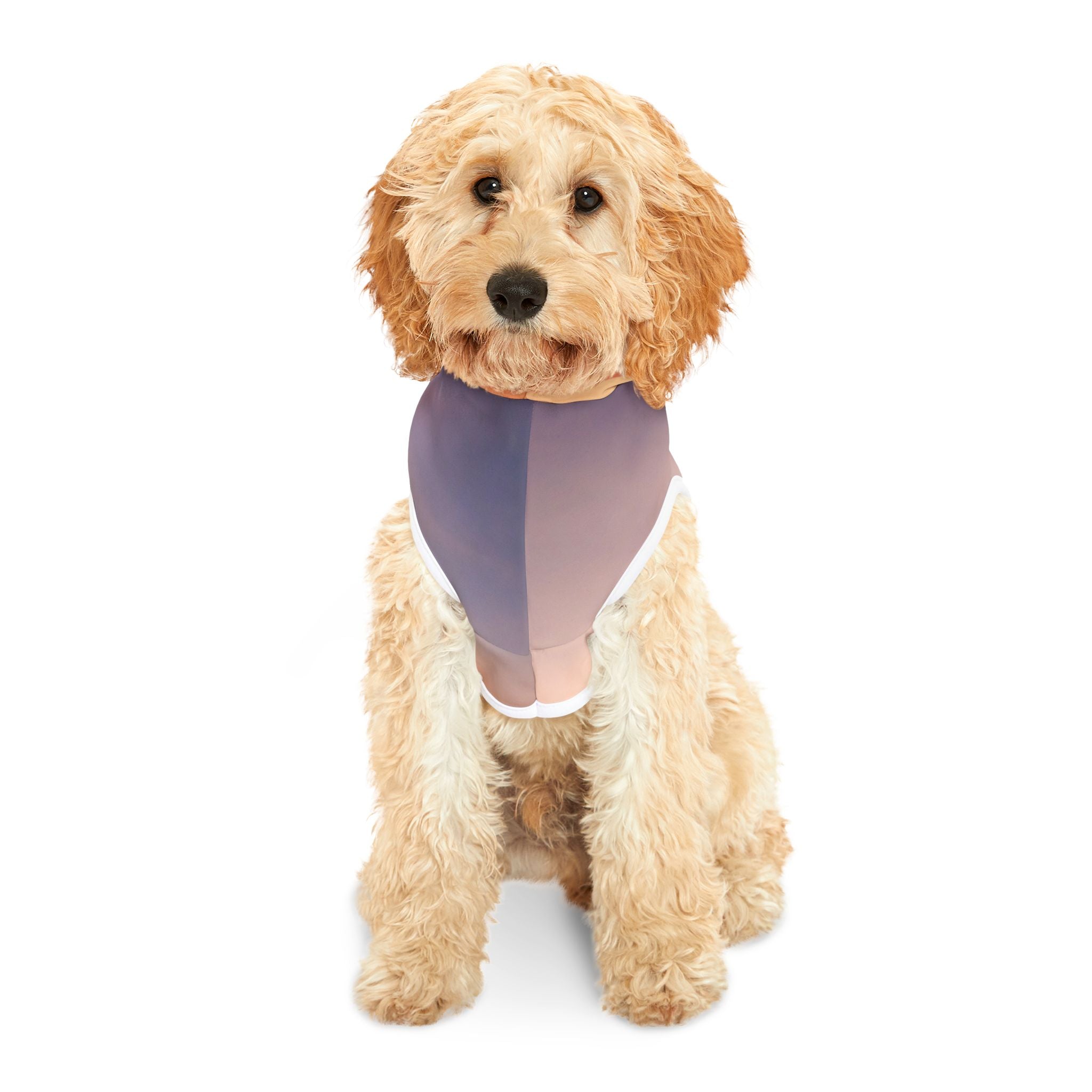 Wisdom Manifestation - Pet Hoodie