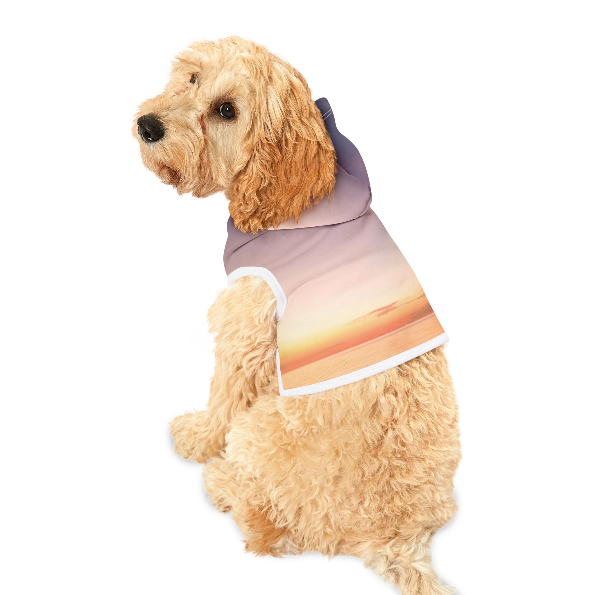 Wisdom Manifestation - Pet Hoodie