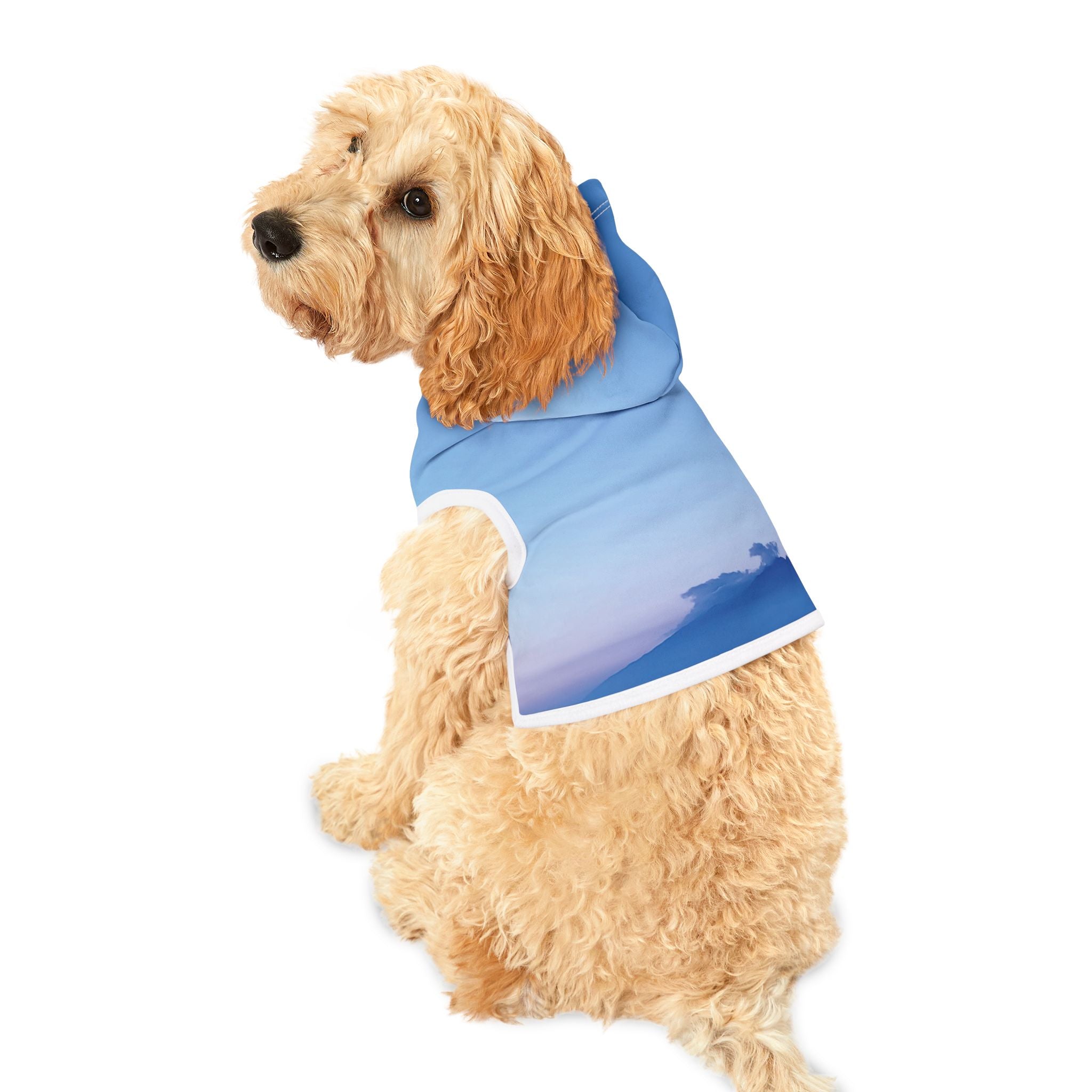 Power Activation - Pet Hoodie