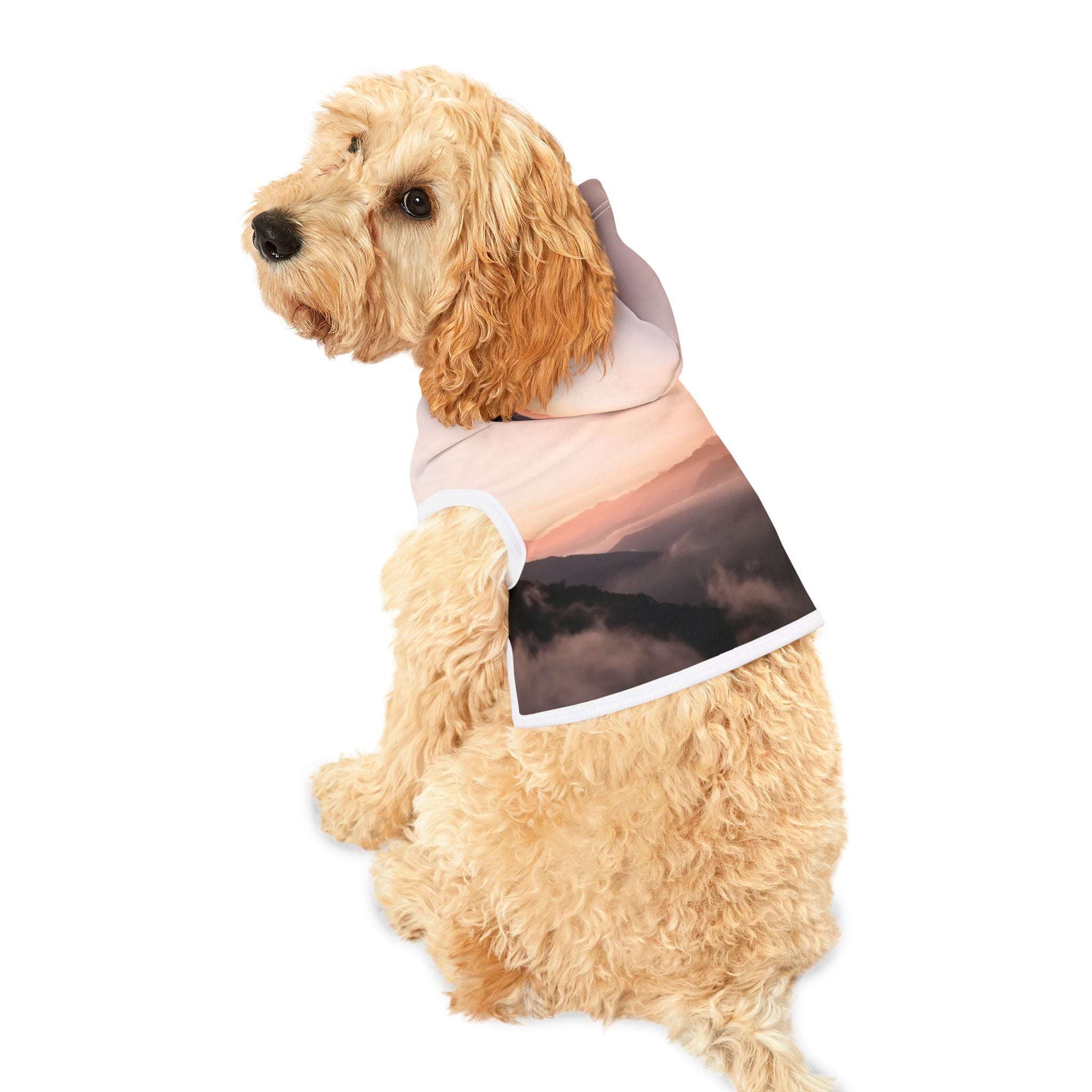 Wisdom Creation - Pet Hoodie