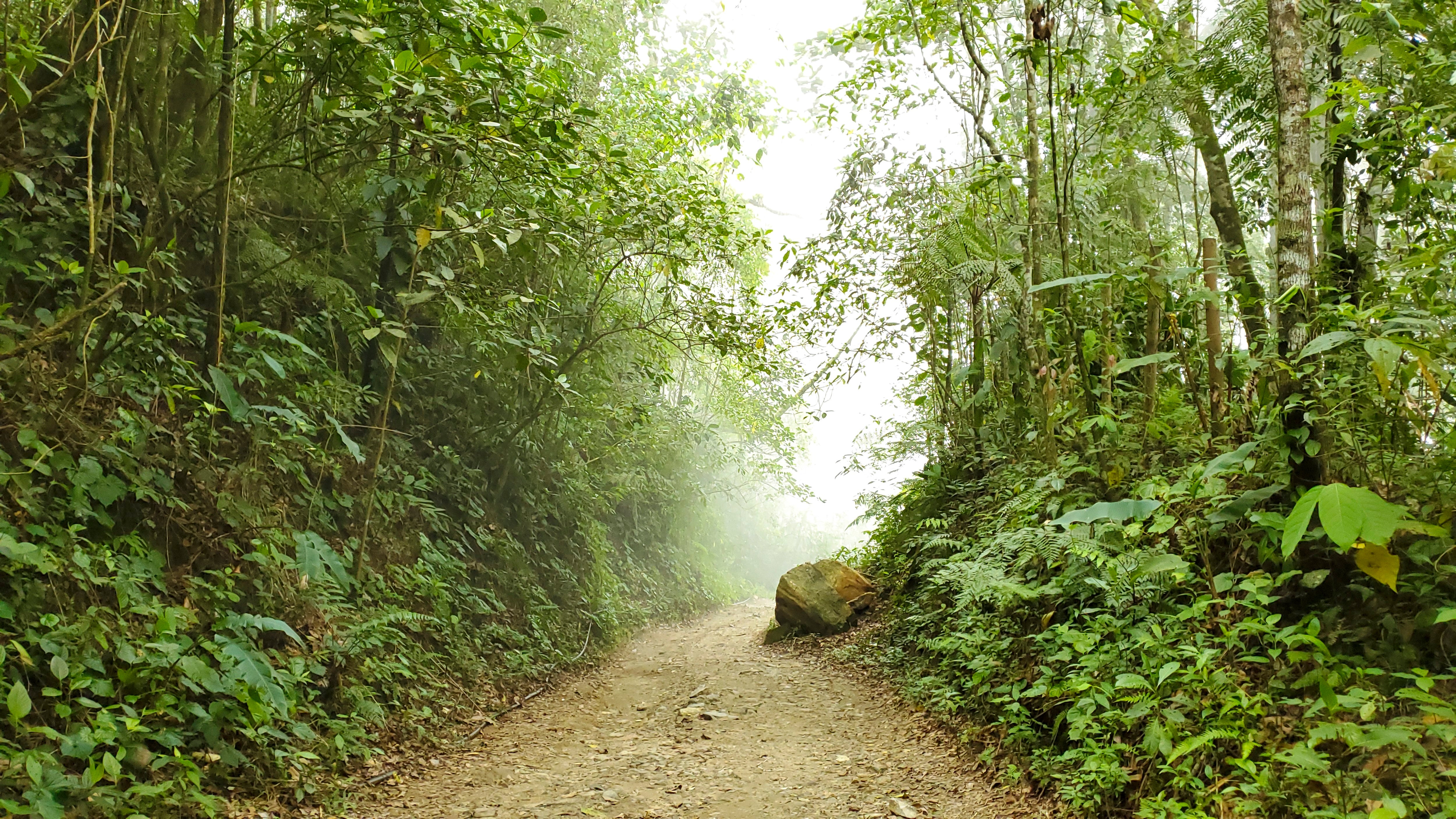 Beyond the Obstacle . Earth Series